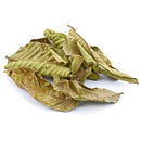 Guava Leaves - Dried Leaves