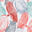 Multicolored Owls Wallpaper