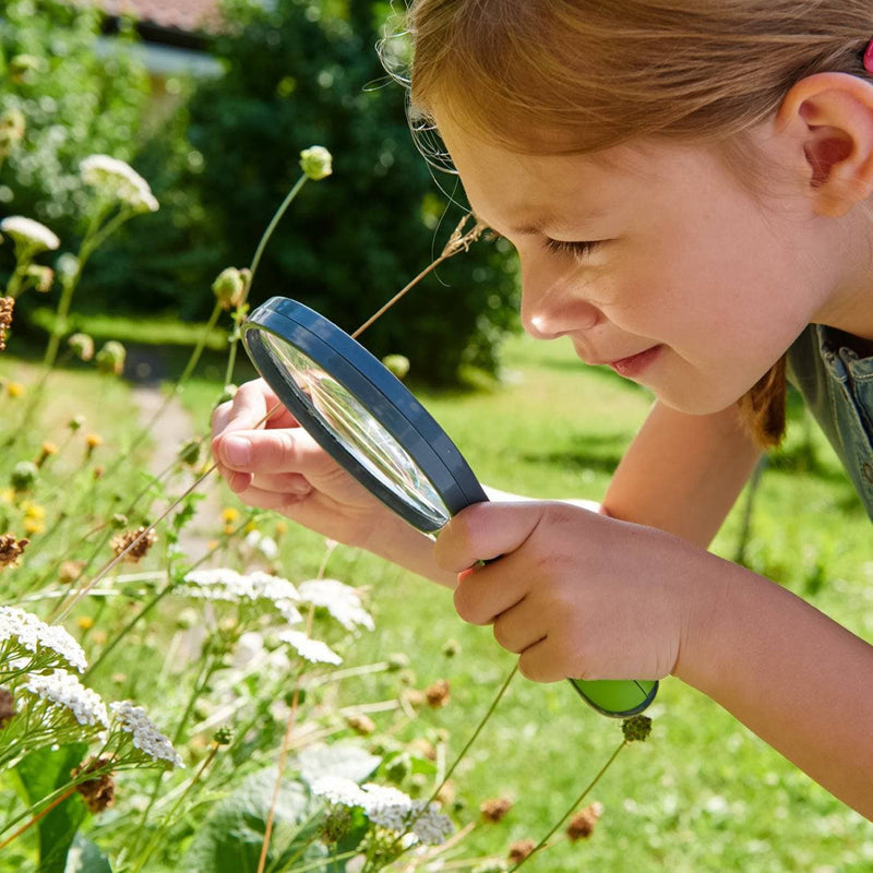 Terra Kids Magnifier, Toys, Educational Toys