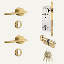 Halzi Handle and Lock