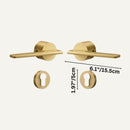 Halzi Handle and Lock