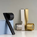 Halzi Handle and Lock