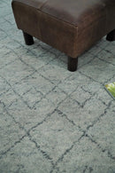 Hand Woven 8x10 Trellis Moroccan Rug Made with Fine Wool TRDCP69810
