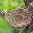 Handmade Grass Willow Bird's Nest Ornament Set of 3