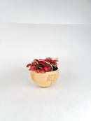 Hanging Joshua Tree Planter