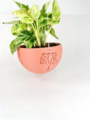 Hanging Joshua Tree Planter