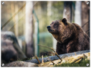 Happy Bear - Print