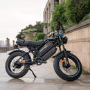 HappyRun G70 (G70 Pro) Long Distance Dual Battery Electric Fat Tire Cargo Bike (SAK81369)