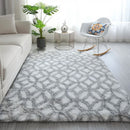Hasvi Area Rug