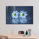 White Daisies Wall Art