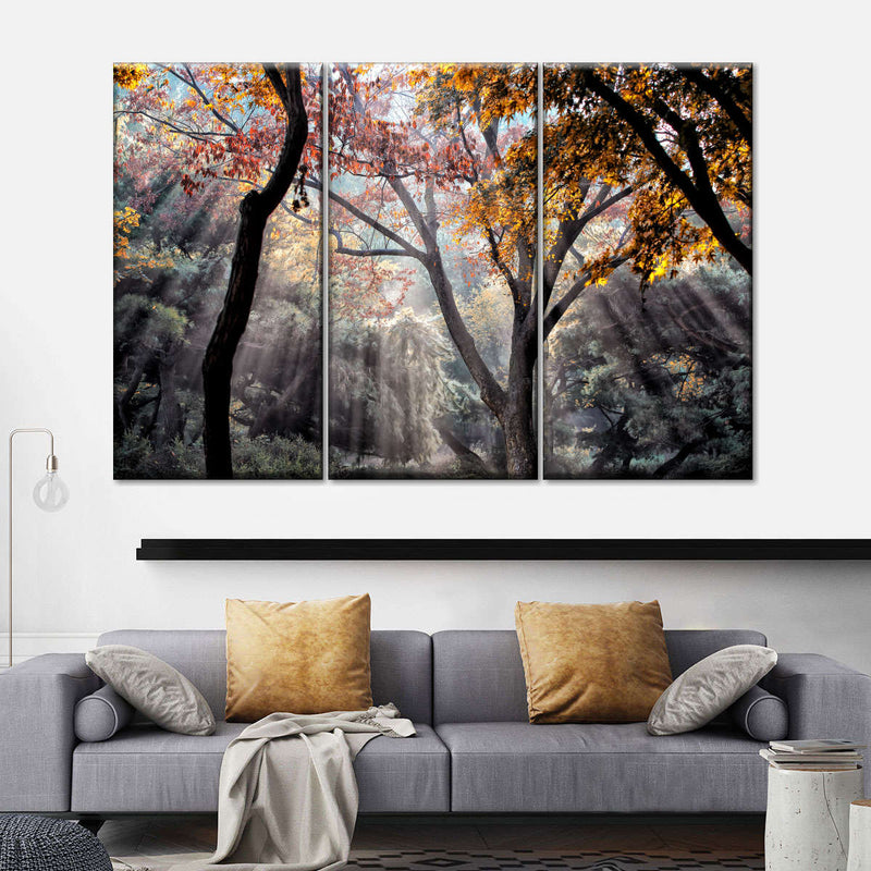 Forest Sun Rays Wall Art