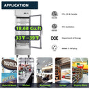 Heavy-Duty Commercial Upright ETL Certified Freezer For Restaurants, Bars, And Supermarkets (SAK01847)