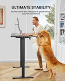 Height Adjustable Electric Standing Desk 48 X 24 Inches