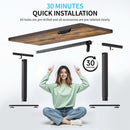 Height Adjustable Electric Standing Desk for Home Office