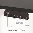 Height Adjustable Electric Standing Desk with Ergonomic Workspace