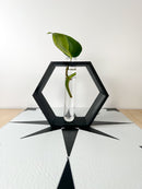 Hexagon Propagation Station