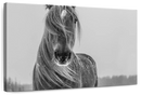 Winter Horse Wall Art