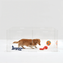 Clear Step-Over Pet Playpen , 24" High