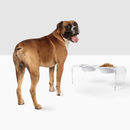 Medium White Bowl Feeder