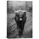 Highland Symmetry Canvas