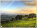 Hillside Trees - Print