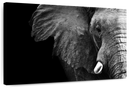 Wise Elephant Wall Art