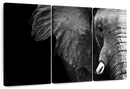 Wise Elephant Wall Art
