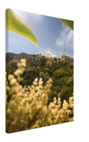 Hollywood - Print