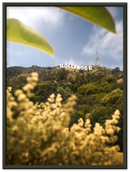 Hollywood - Print