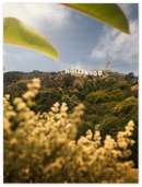 Hollywood - Print