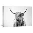 Horns in the White Canvas