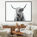 Horns in the White Canvas