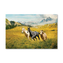 Horse Field Canvas