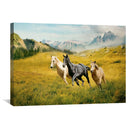 Horse Field Canvas
