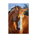 Horse in Wild Oil Painting