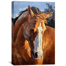 Horse in Wild Oil Painting