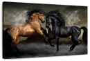 Clashing Wild Horses Wall Art