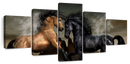 Clashing Wild Horses Wall Art