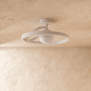 Hring Ceiling Light