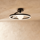 Hring Ceiling Light