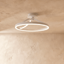 Hring Ceiling Light