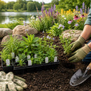 Hummingbird Garden Live Plant Landscape Kit | Prairie Legacy Inc.
