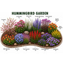 Hummingbird Garden Live Plant Landscape Kit | Prairie Legacy Inc.
