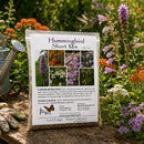 Hummingbird Wildflower Bundle | Tall & Short Mini Mixes | Prairie Legacy Inc.