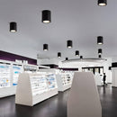 Hunar Downlight