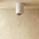 Hunar Downlight