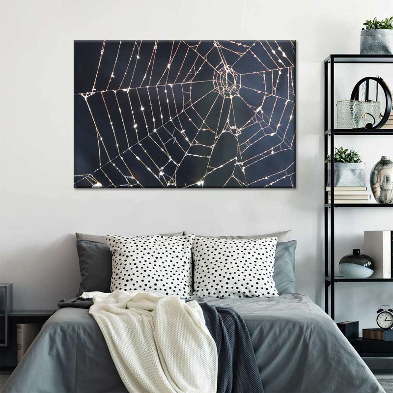 Spider Web Wall Art