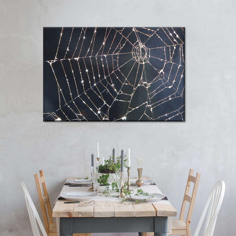 Spider Web Wall Art