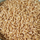 Organic Rolled Hard White Winter Wheat | Pack of 2 | 25 lb | Non-GMO | Grain Place Foods
