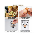 Hydroponic Avocado Planting Set Glass